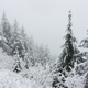 Illustration for article titled Mailbox Peak - True Suffering